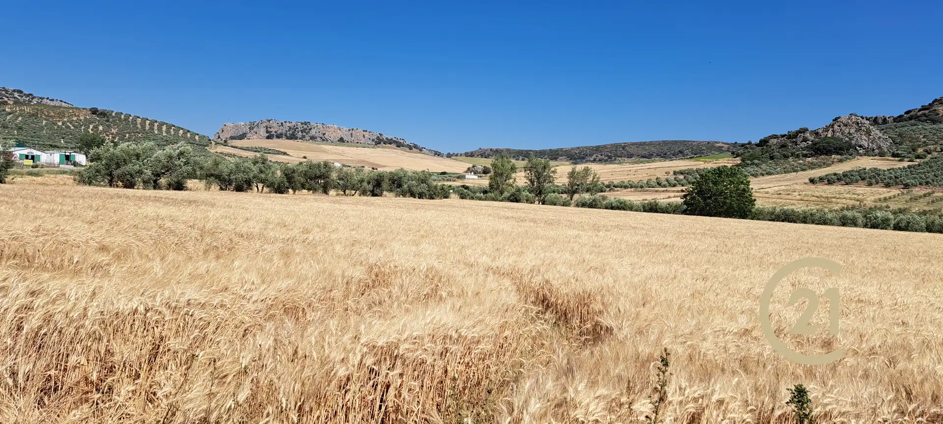 Residencial en venda en Cuevas del Becerro