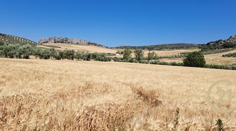 Photo 4 of Residential for sale in Carretera Ronda Campillos, Cuevas del Becerro, Málaga