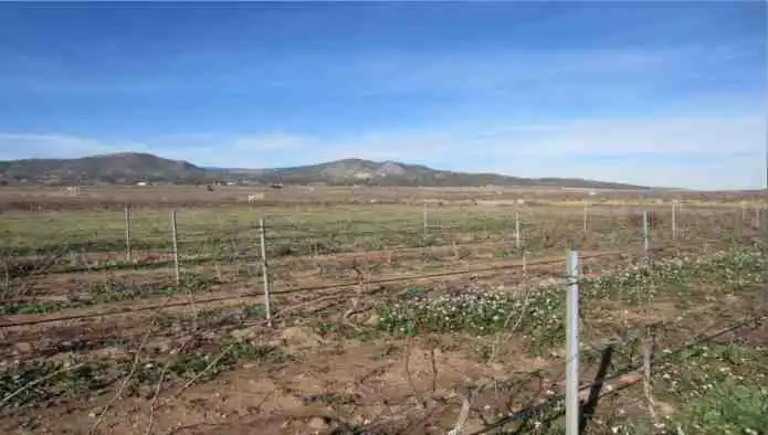 Rural land for sale in Pd Alciri, imagen 10