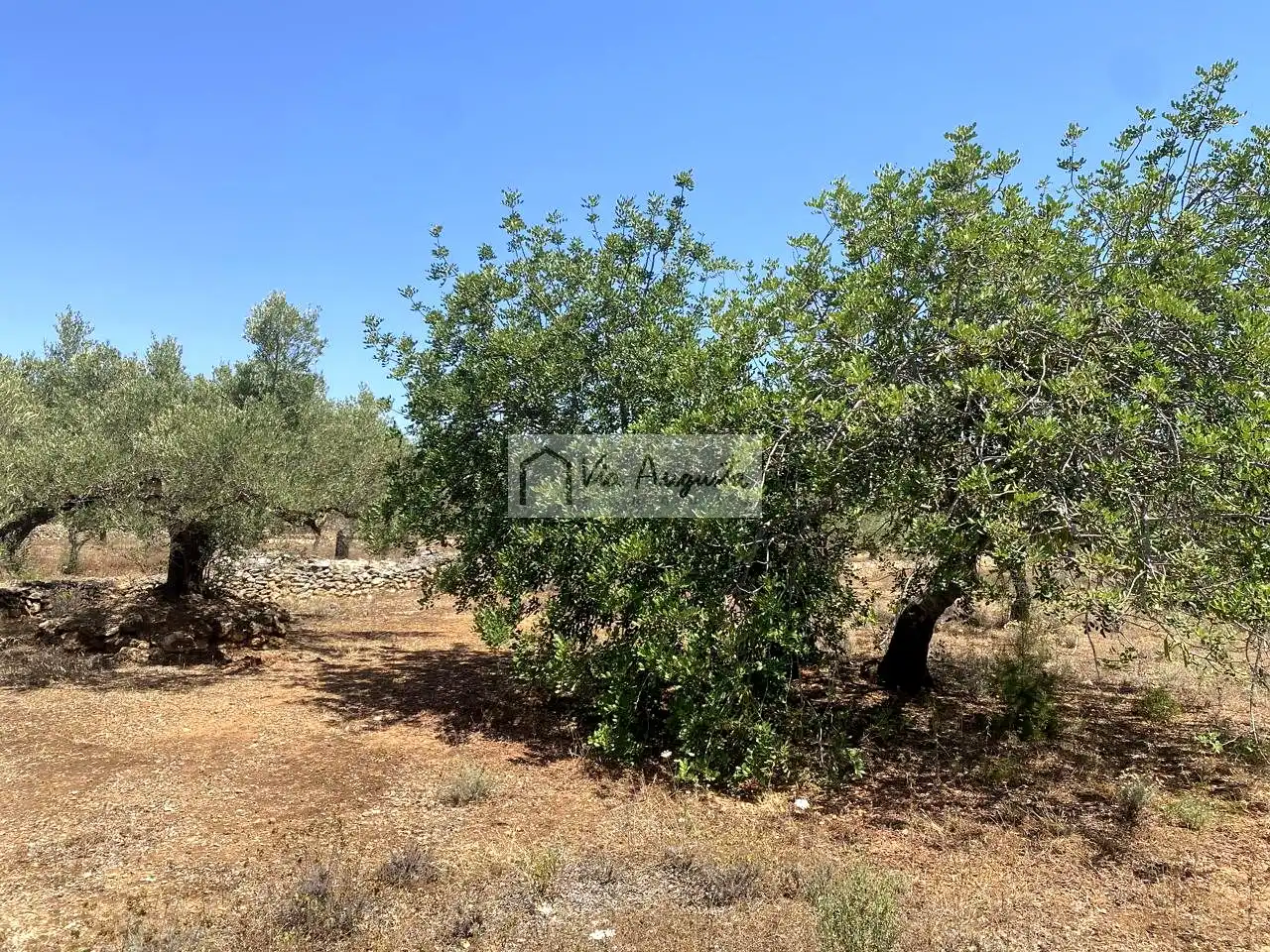 Terreno rustico in vendita a Bordes, imagen 6