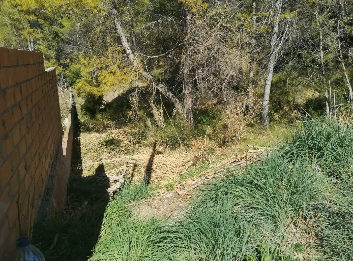 Lands and plots for sale in La Pobla de Claramunt, imagen 3