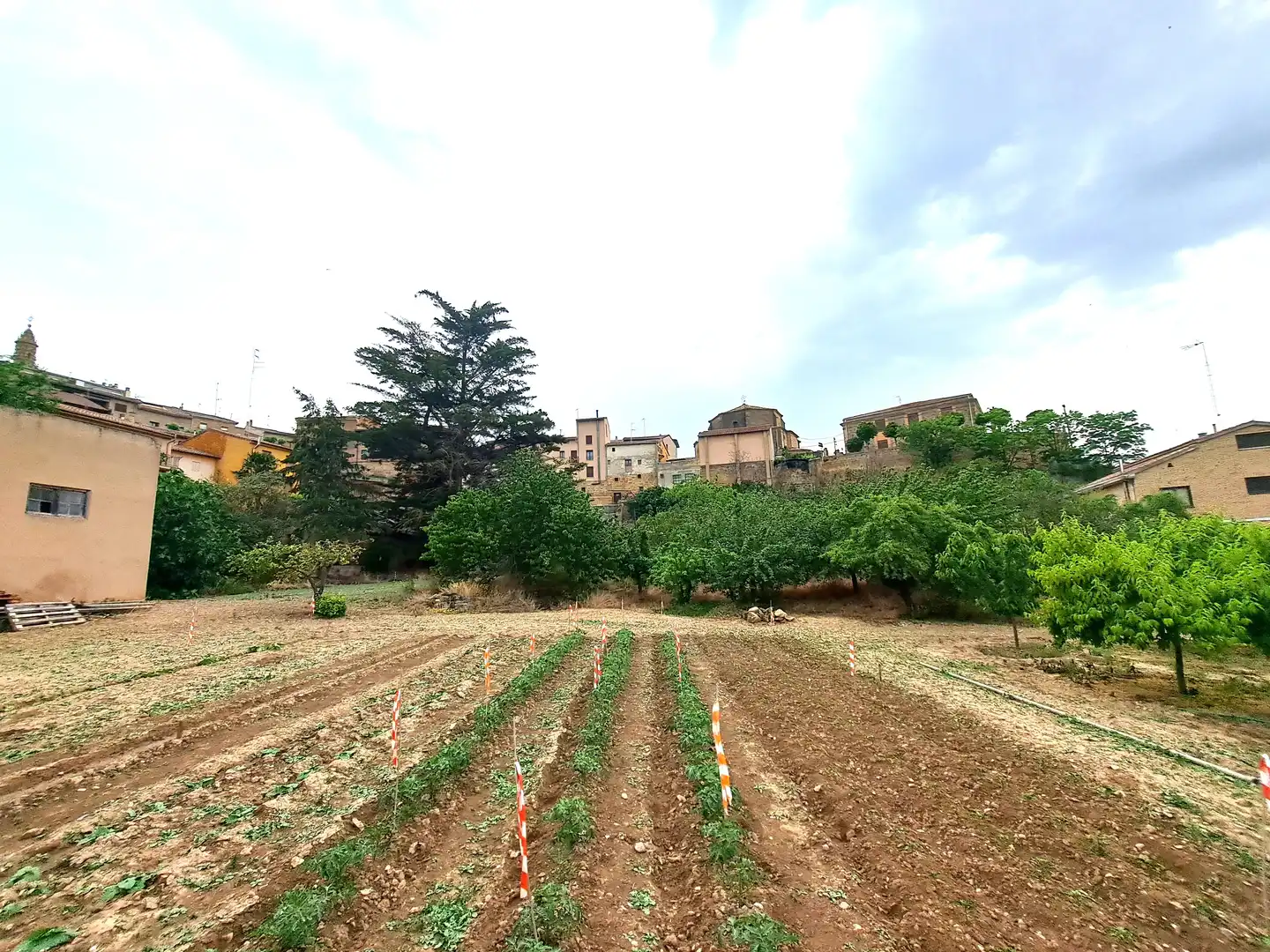 Finca rústica en venta en Briones con Jardín privado