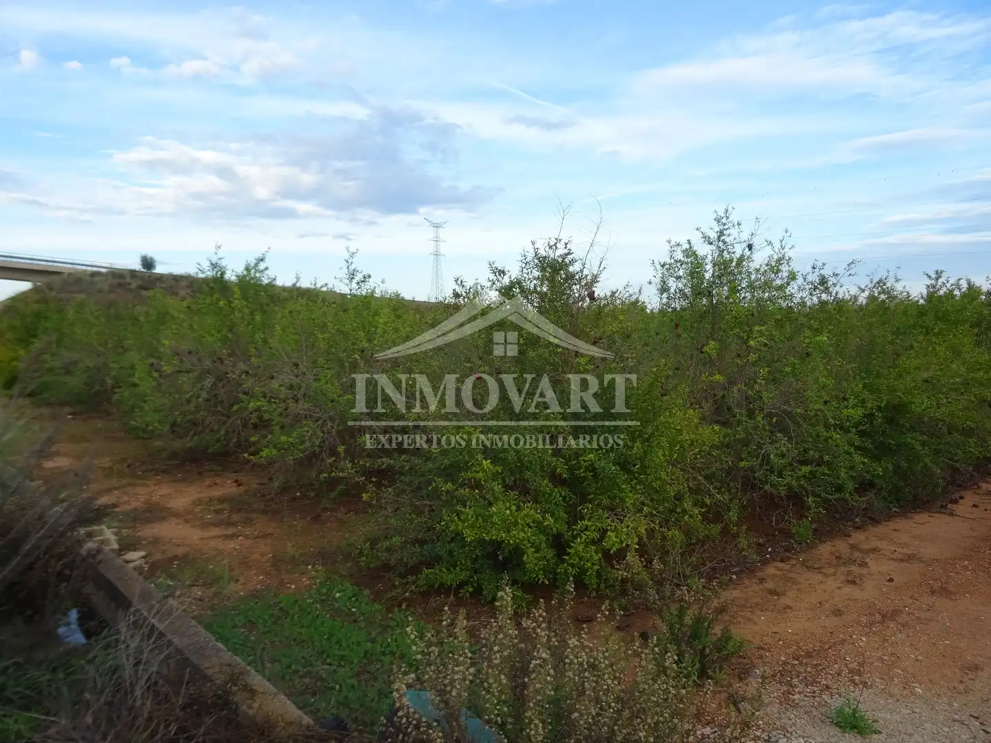 Terreno rústico en venta en Alginet, imagen 4