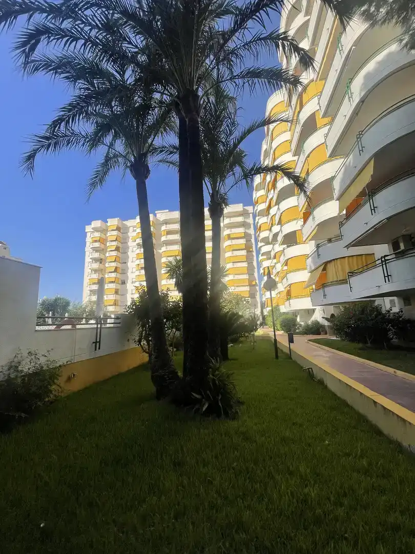 Vista exterior de Apartament en venda en Gandia amb Aire condicionat i Piscina