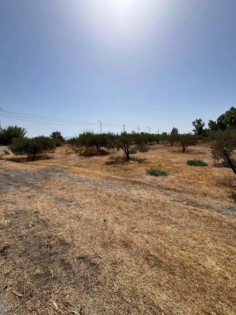 Rustikales Grundstück zum Verkauf in Camino TORRECILLA, imagen 6
