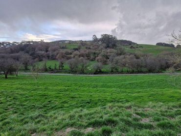 Terrain rustique à vendre à Oruña - Sector Rio Mijares 606