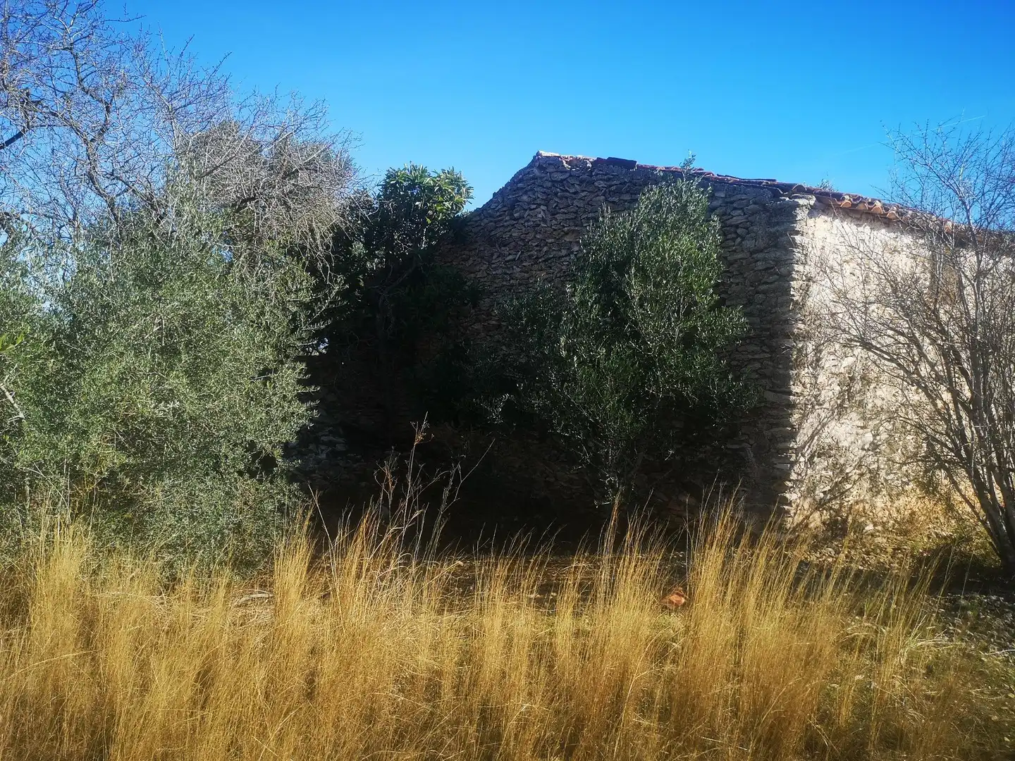 Terreno rustico in vendita a Traiguera, imagen 2