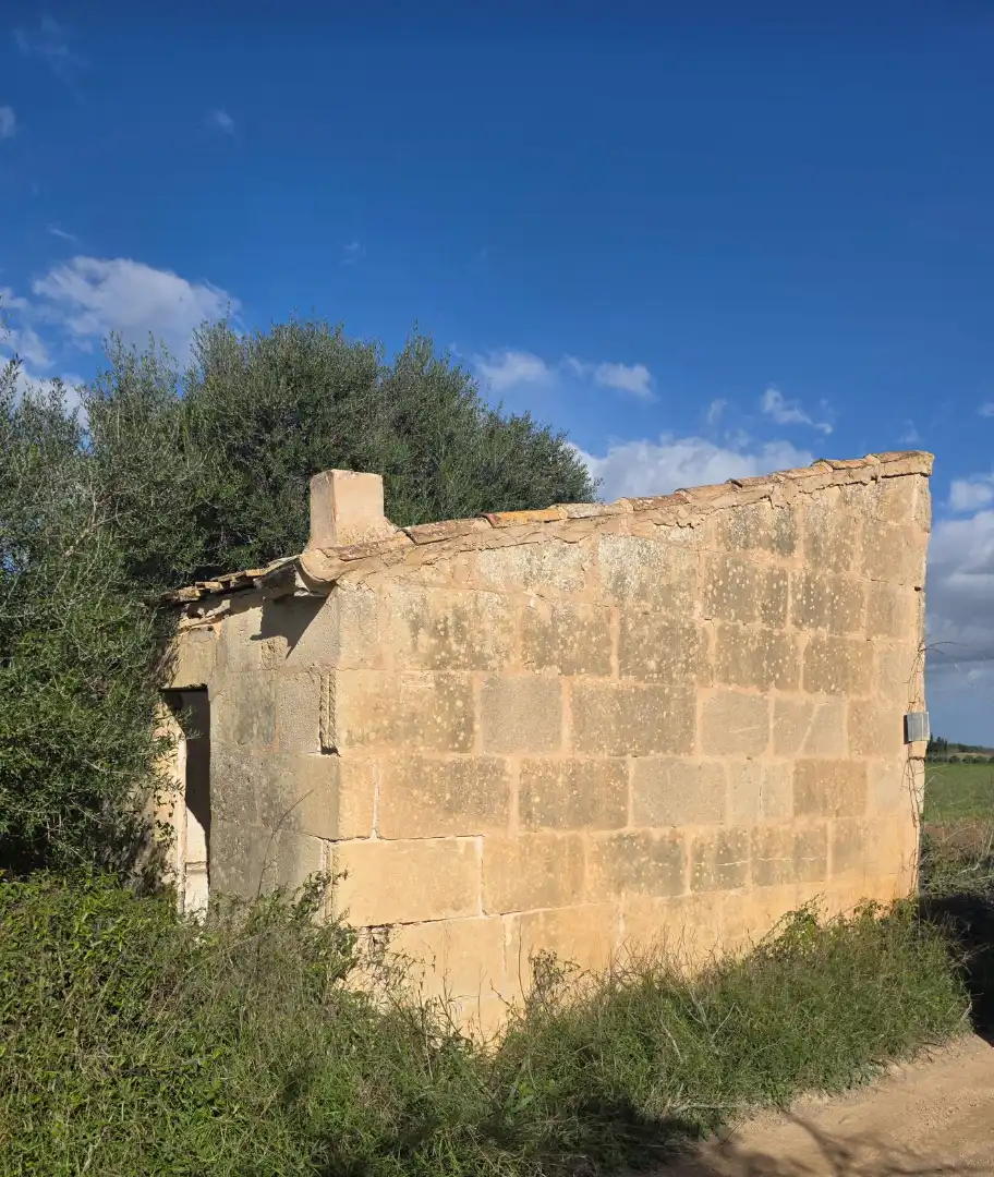 Exterior view of Land for sale in Porreres
