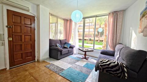 Photo 5 of Planta baja to rent in Zona Playa de los Locos, Torrevieja