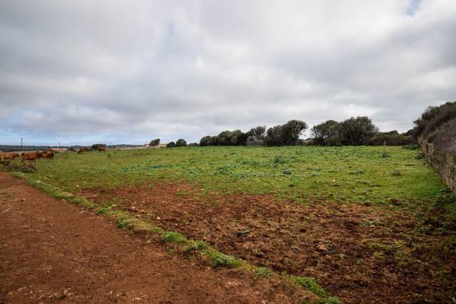 Terreno residencial en Venta en Cala Morell