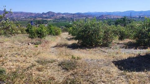 Foto 2 de Terreny en venda a Diseminado Poligono 13, 159 -, Doña Ana, Cártama