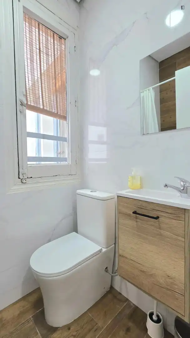 Bany de Apartament de lloguer en Madrid amb Moblat, Forn i Rentadora