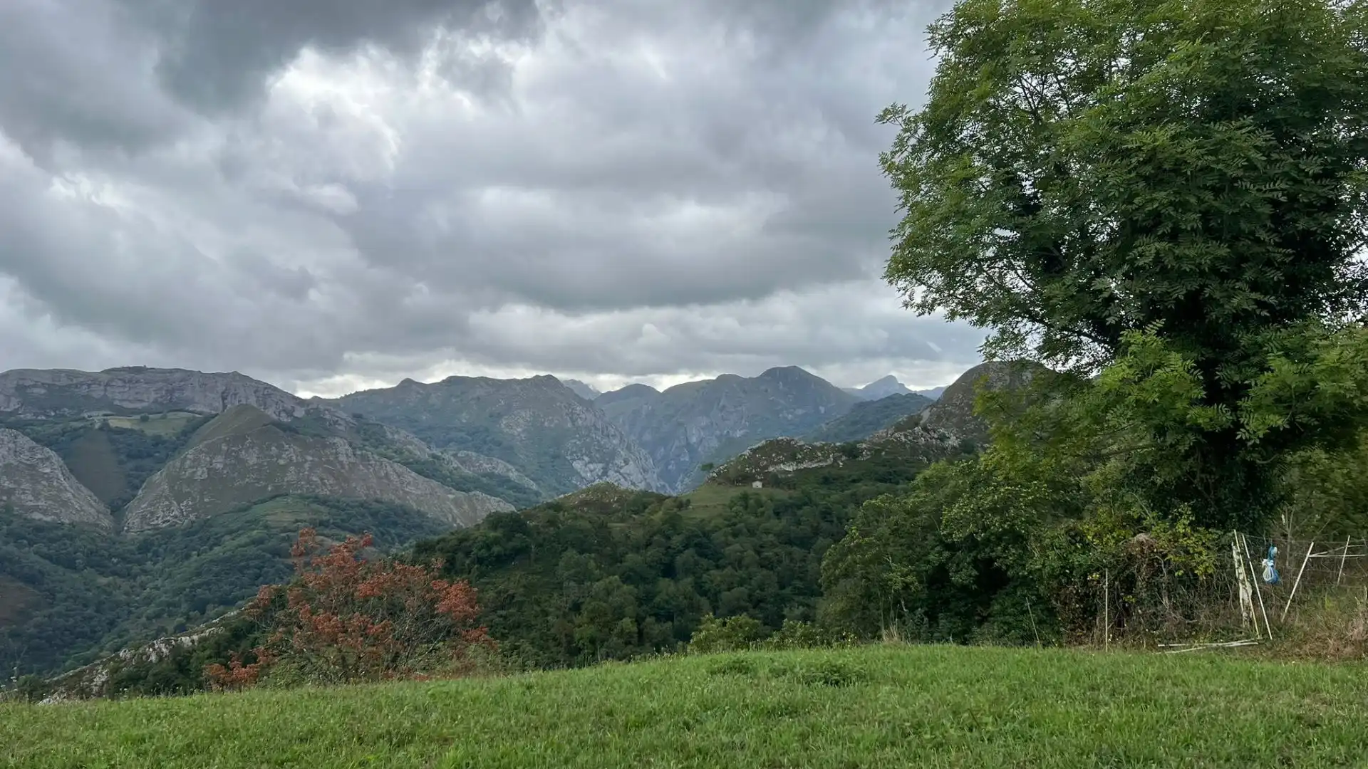 Terrenos y solares en venta en Parres, imagen 3