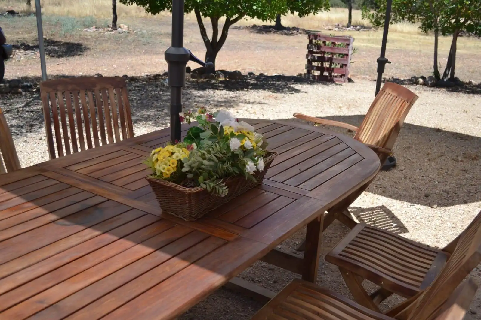 Finca rústica en venda a Belvís de la Jara