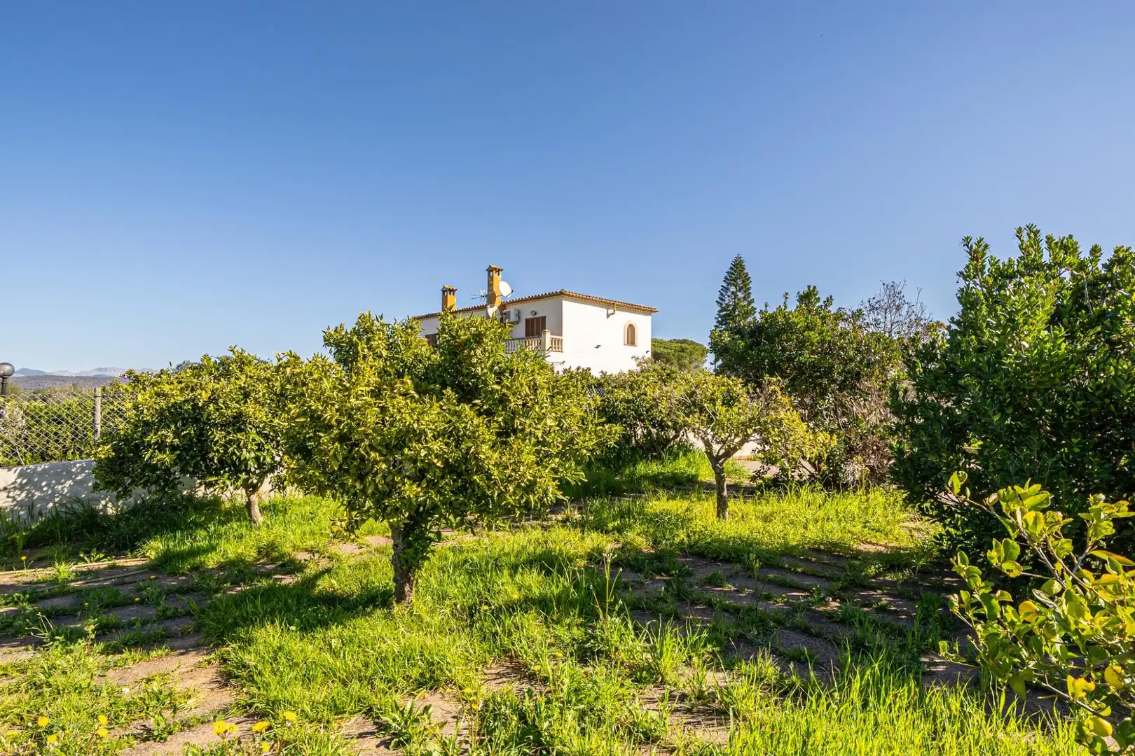 Garten von Grundstücke zum Verkauf in  Palma de Mallorca