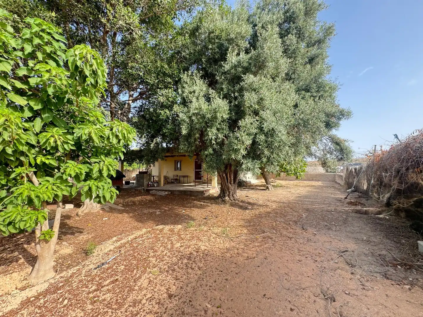 Finca rústica en venda en Elche / Elx