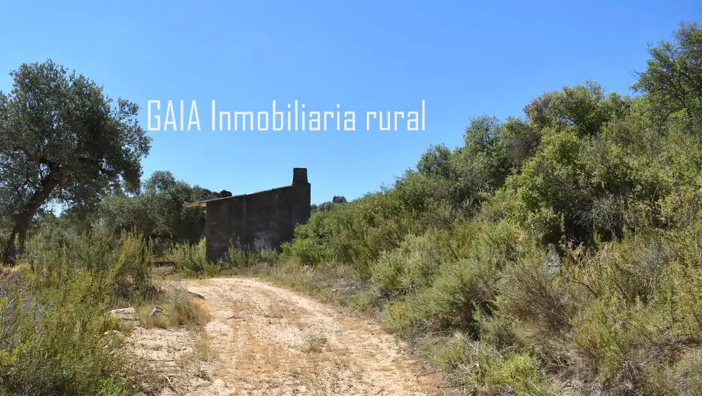 Casa rústica en venda a Maella, imagen 13