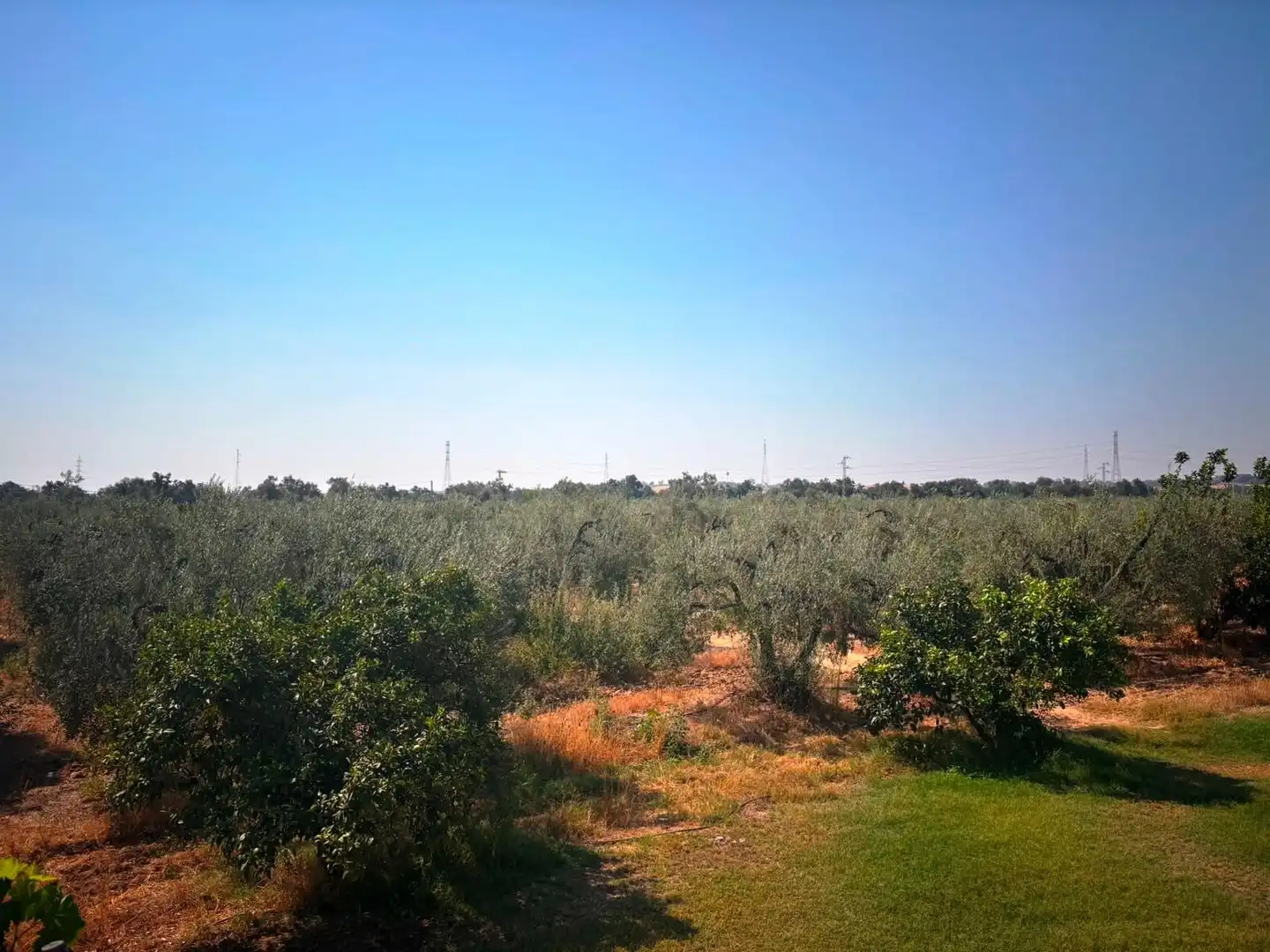 Finca rústica en venda en Huévar del Aljarafe amb Jardí privat, Traster i Piscina