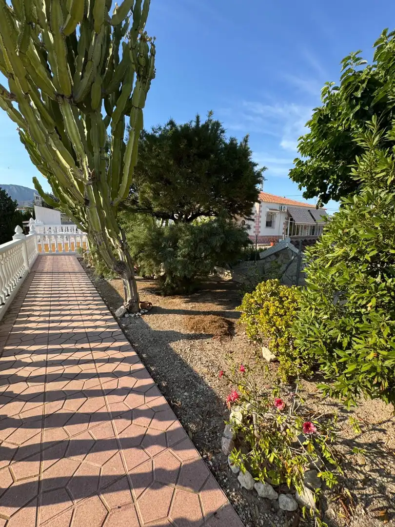 Maison avec piscine à vendre à Albatera, imagen 4