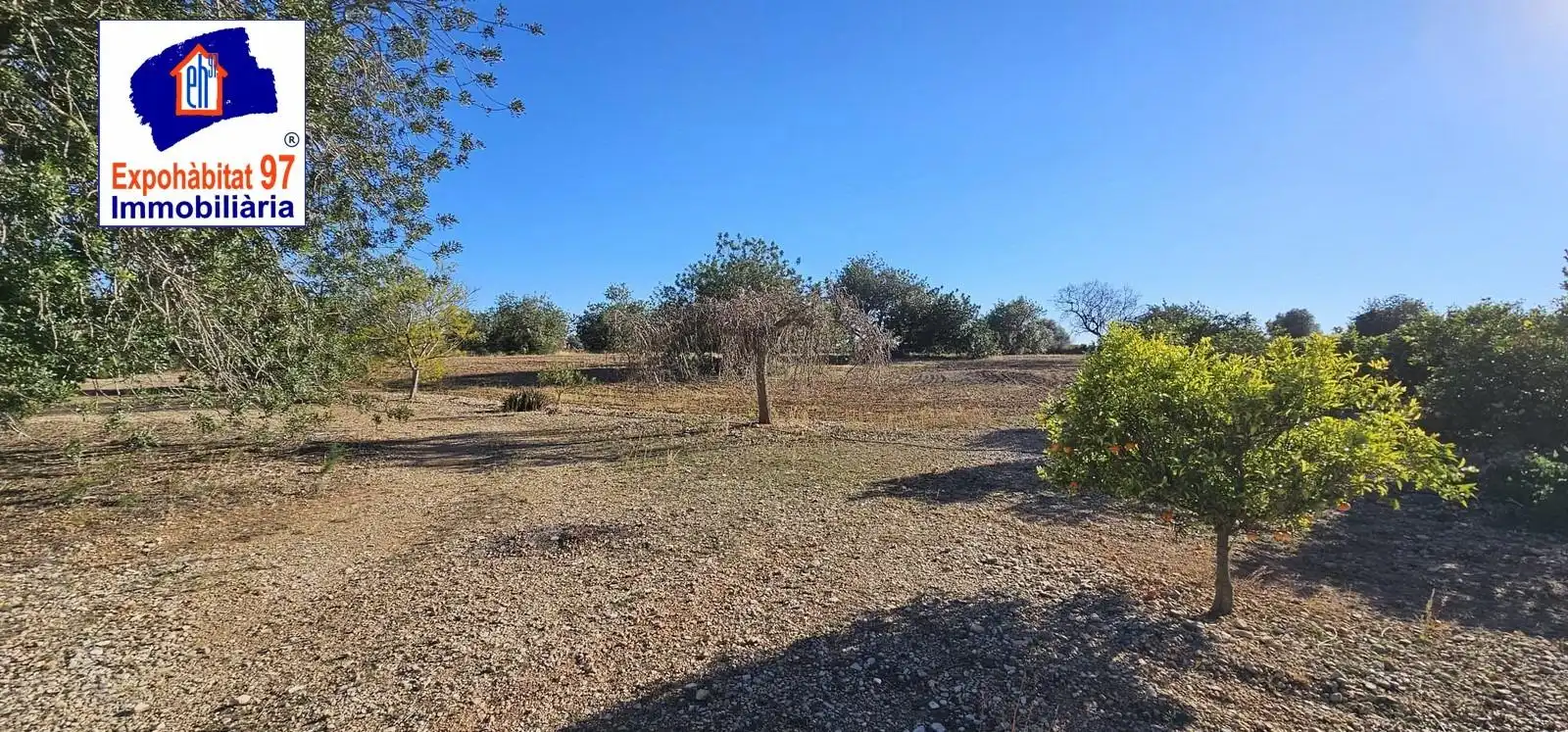 Casa rústica con piscina en venta en Roquetes, imagen 13