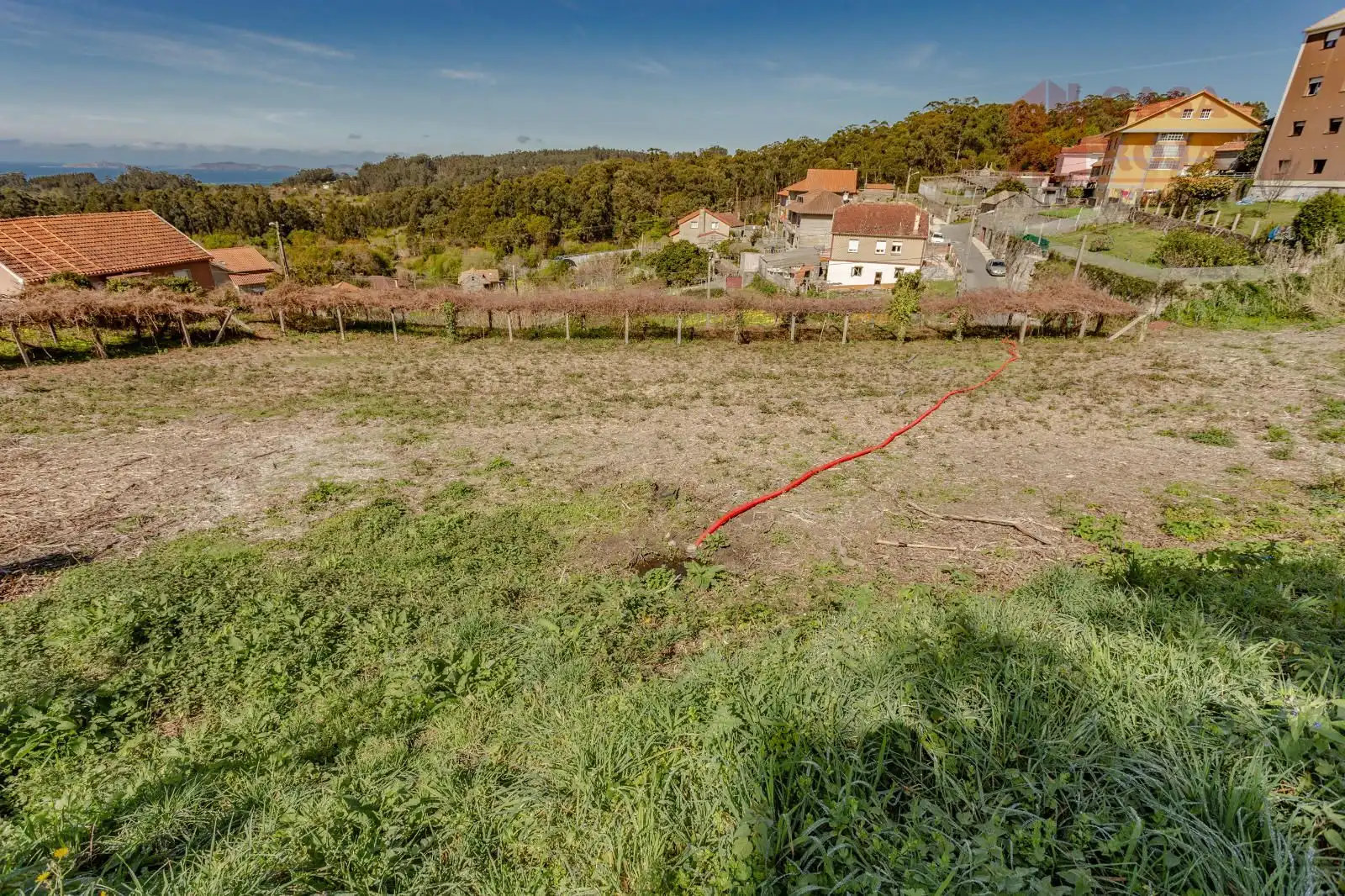 Terreno rustico in vendita a Lugar Bon de abaixo, imagen 6