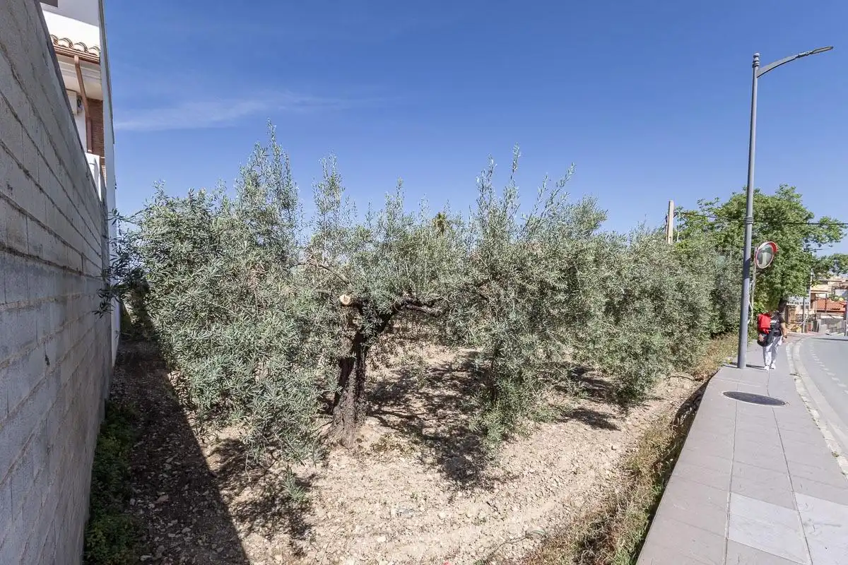 Residential for sale in Gójar