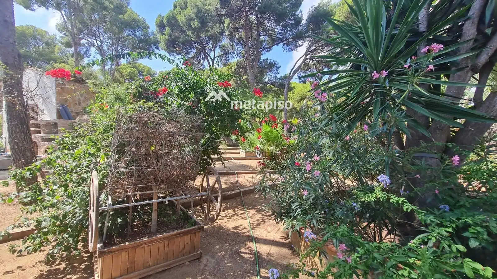 Villa con piscina in vendita a DEL MAR, imagen 14