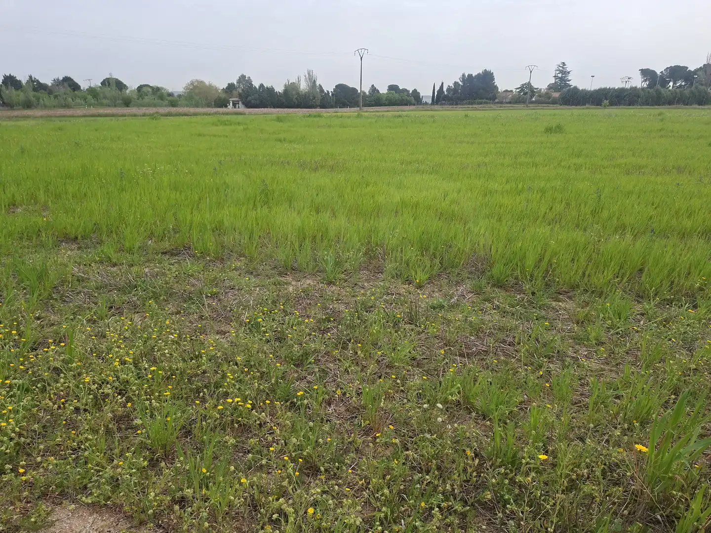 Rural land for sale in Cubas de la Sagra, imagen 3