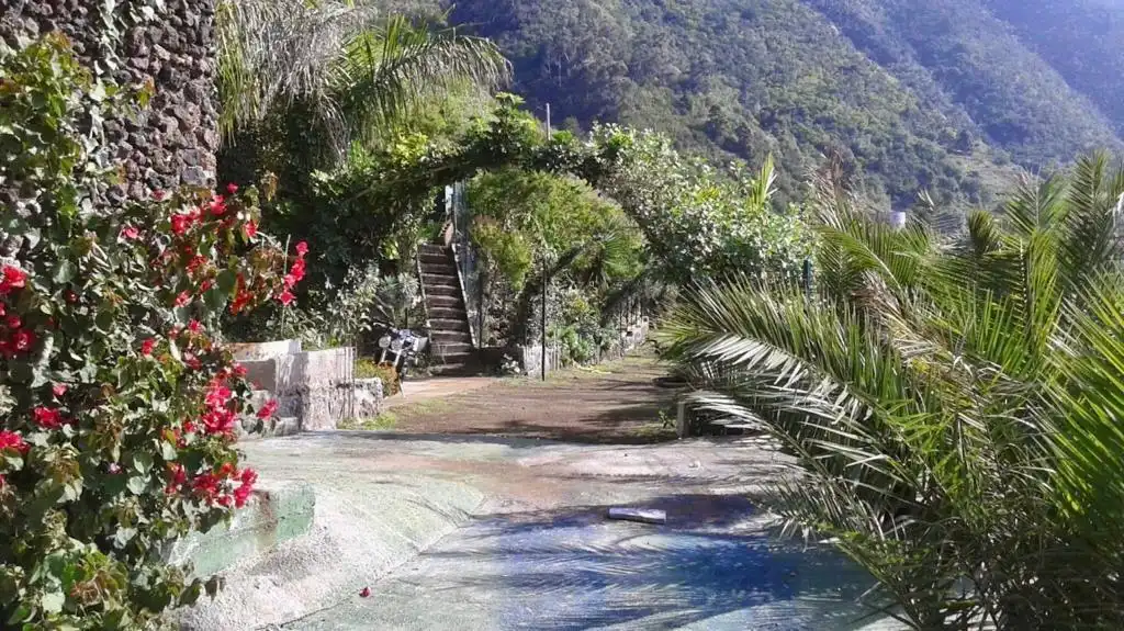 Garden of Country homes for sale in La Orotava  with Alarm