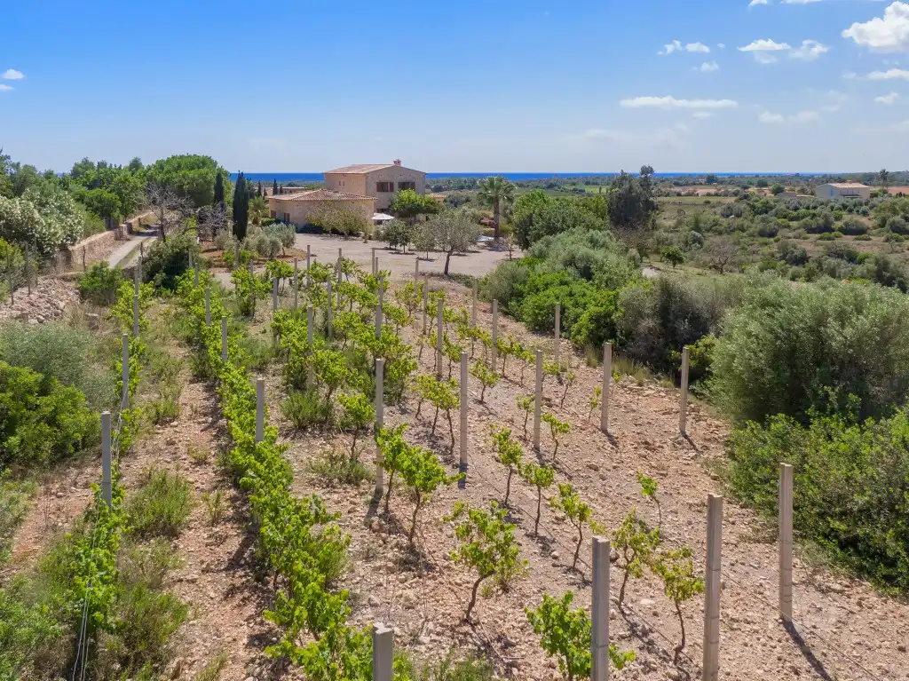 Maison rustique avec piscine à vendre à Manacor Centre, imagen 24