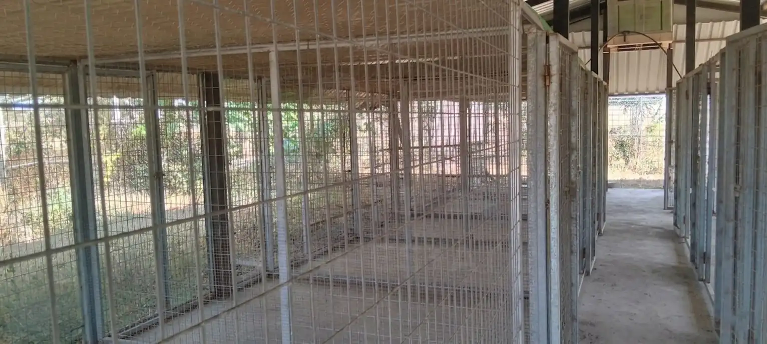 Terreni e lotti in vendita a La Hacienda - Nueva Andalucía, imagen 9