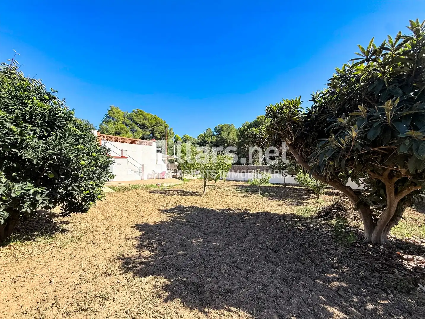 Rural land for sale in Nord, imagen 24
