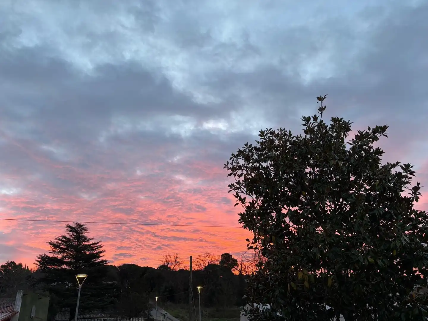 Vista exterior de Casa o chalet en venta en Sant Feliu de Buixalleu con Calefacción, Jardín privado y Terraza