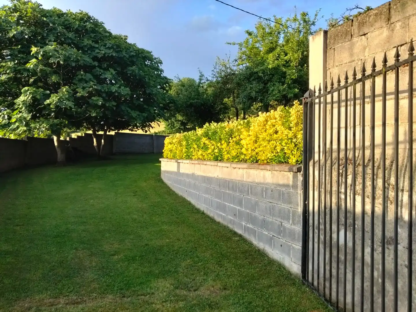 Garden of Commercial properties for sale in Salas