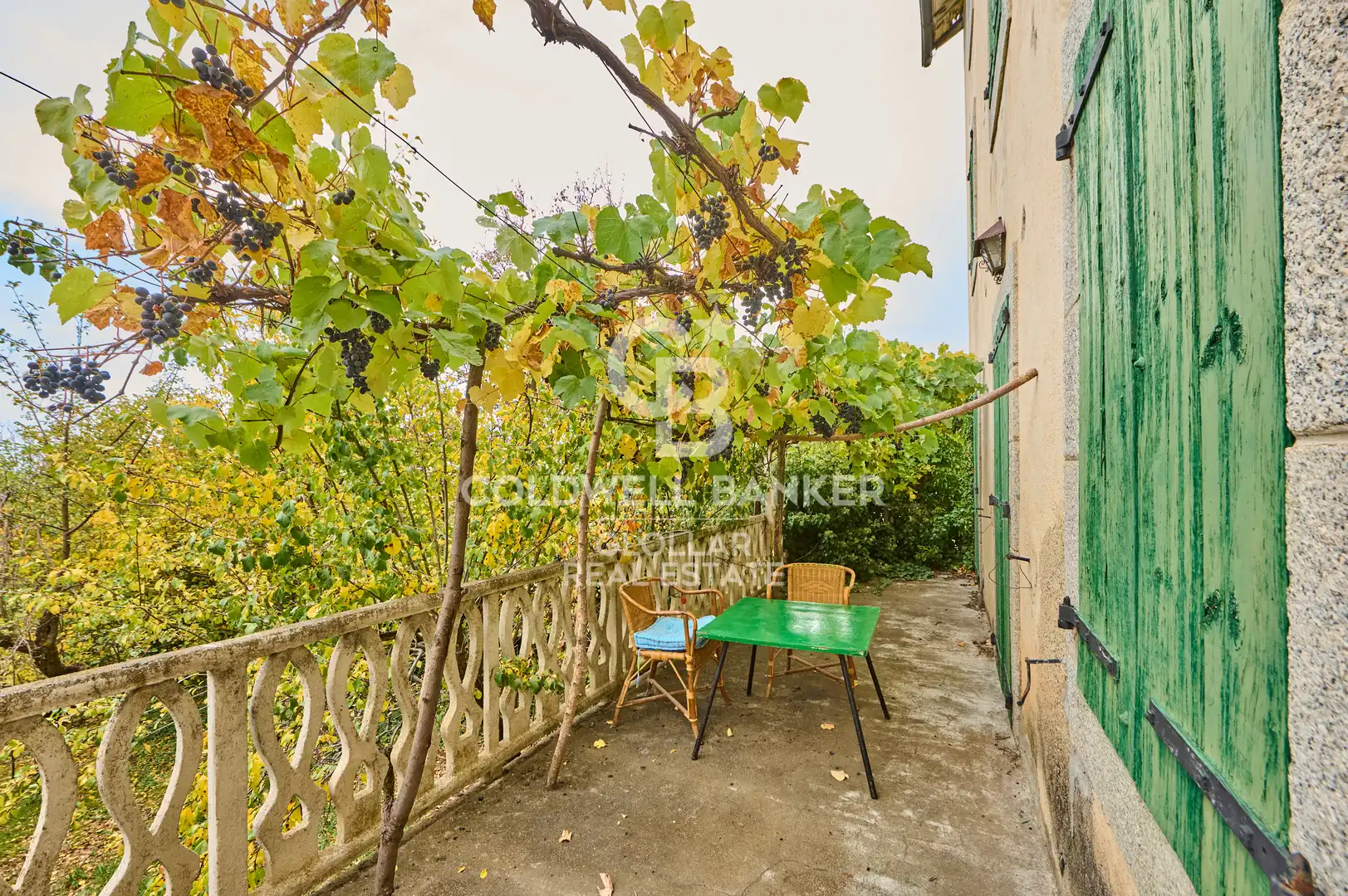 Casa rústica amb jardí en venda a Avenue Saint-Roch, imagen 9