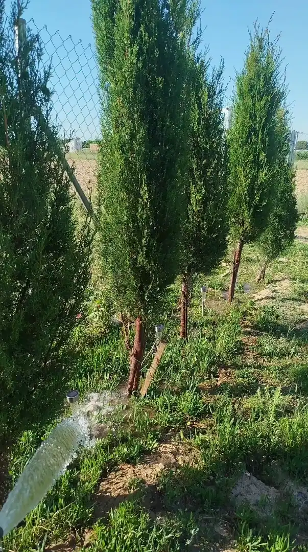 Garden of Land for sale in Tudela