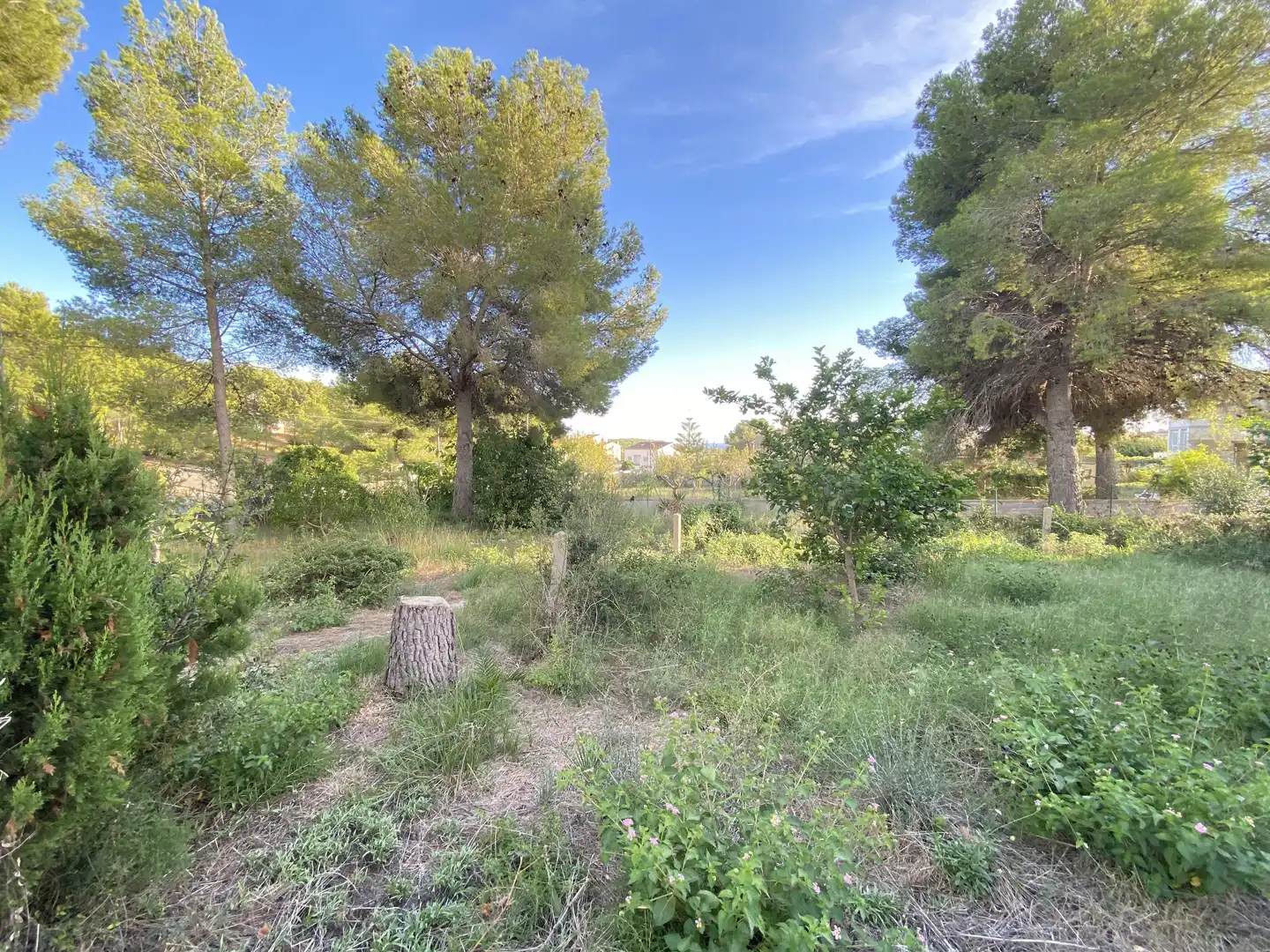 Wohnbaugrundstück zum Verkauf in Mas Borràs - Coto del Rey, imagen 9