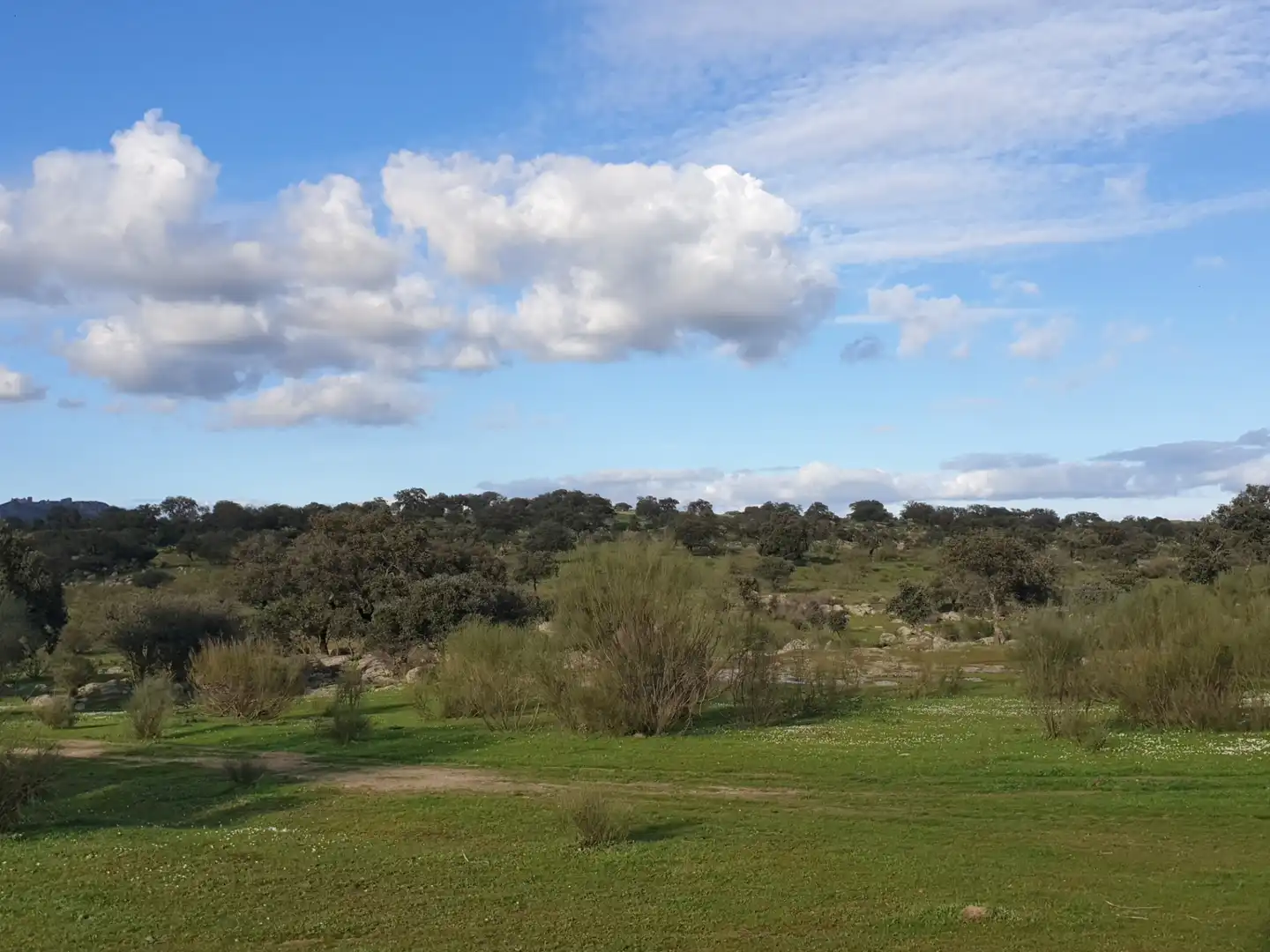 Terreni e lotti in vendita a La Haba, imagen 10