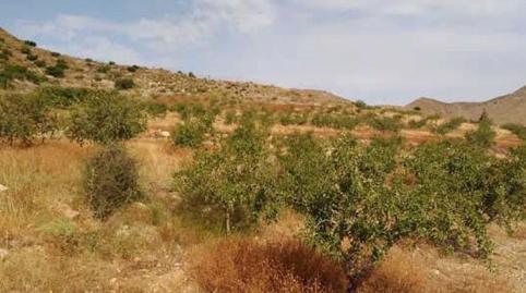 Foto 4 von Residential zum Verkauf in  Nº 81 Parcela 560 y 618 Paraje Los Simonetes, La Magdalena - Molinos Marfagones, Cartagena