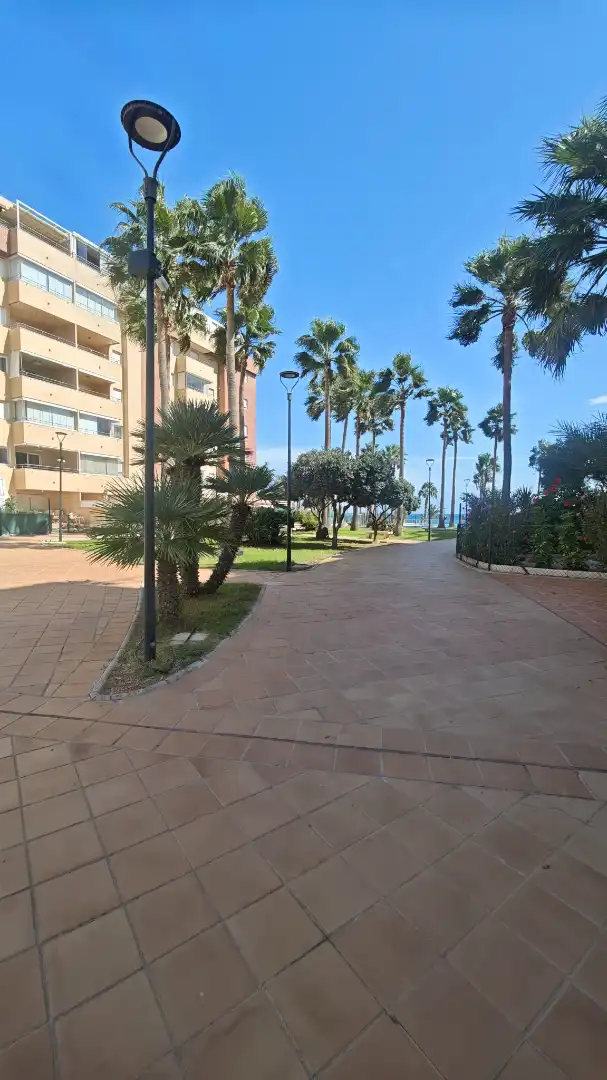 Penthouse mit Terrasse zum Verkauf in Roquetas de Mar ciudad, imagen 20