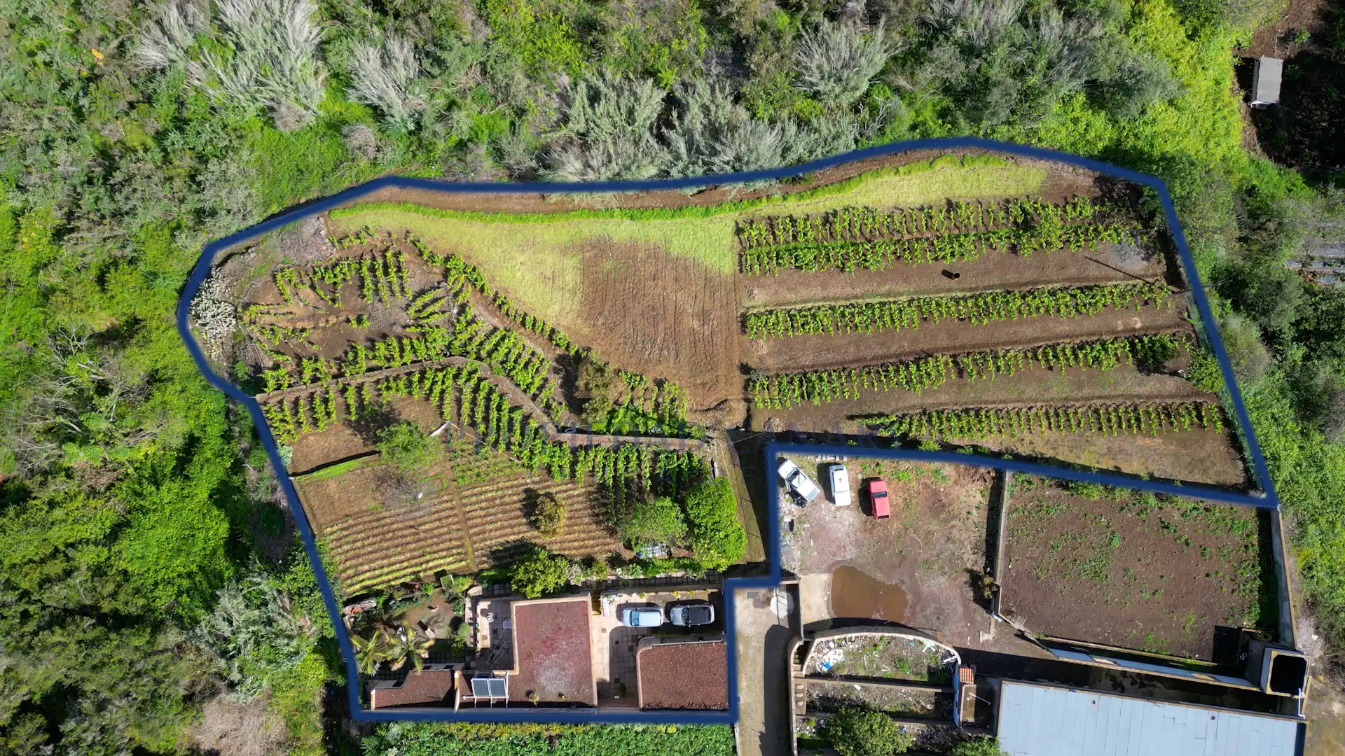 Casa rústica con jardín en venta en La Perdoma - San Antonio - Benijos, imagen 103