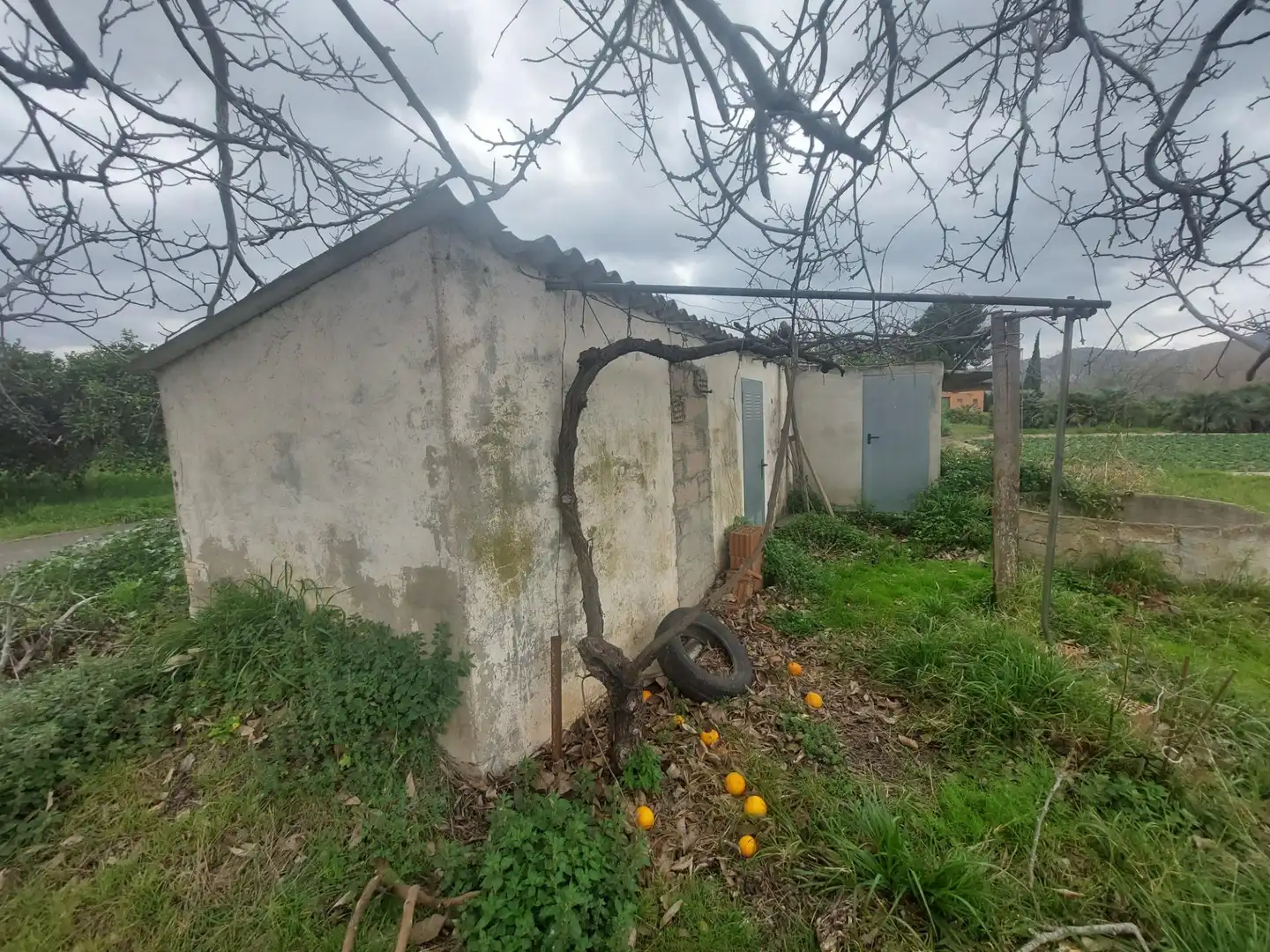 Finca rústica en venda en Xerta amb Calefacció