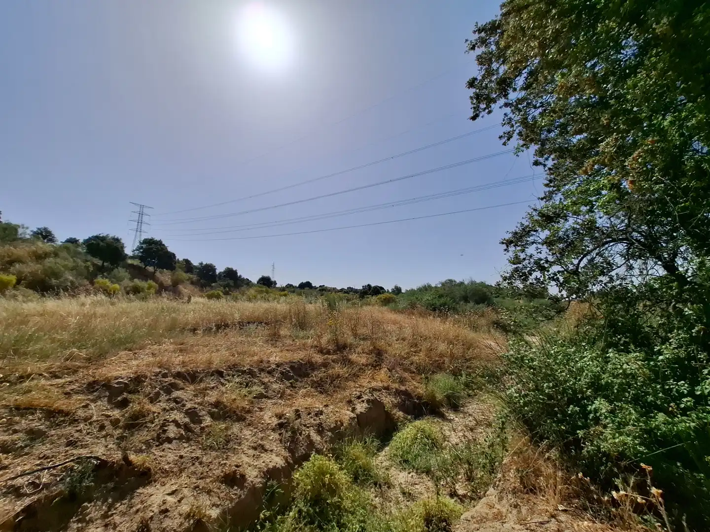 Rural land for sale in Colonia de la Estación, imagen 5