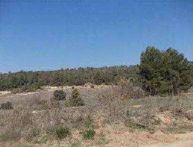 Terreno en Venta en Tivissa
