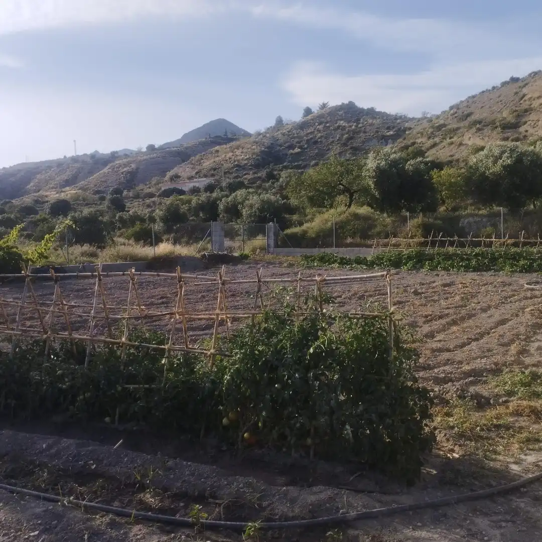 Country homes for sale in Lúcar  with Private garden and Storage room