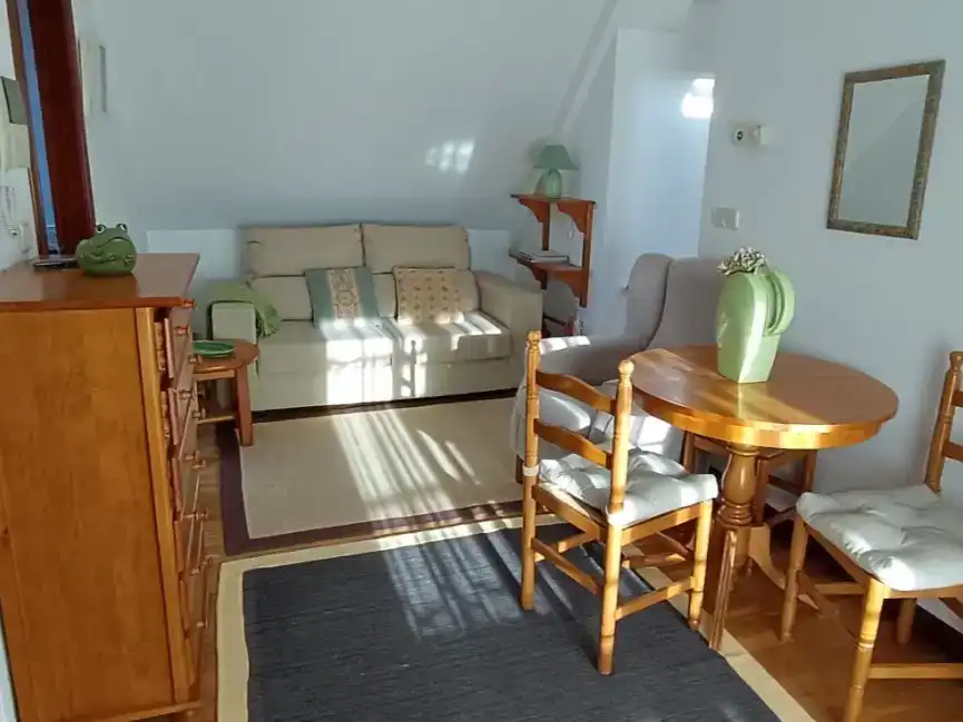Sala d'estar de Pis de lloguer en Vigo  amb Parquet, Moblat i Forn