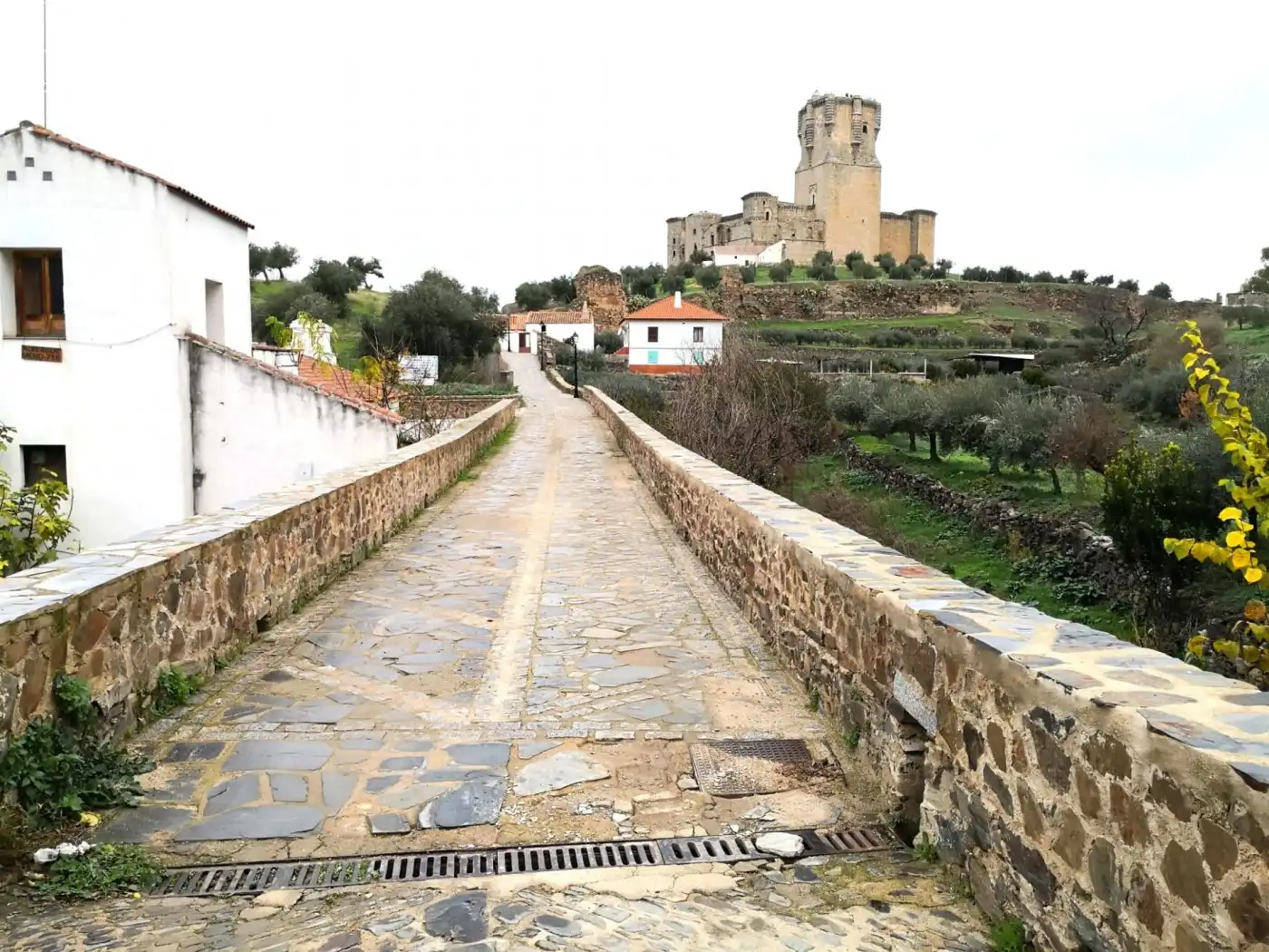 Vista exterior de Finca rústica en venta en Belalcázar