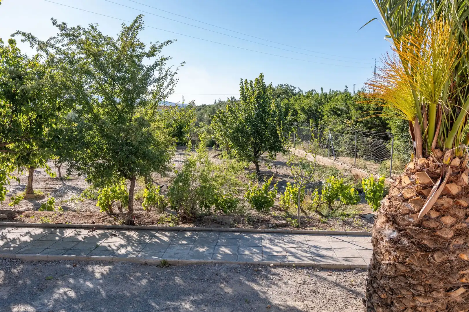 Casa o xalet en venda en Guadix amb Aire condicionat, Calefacció i Jardí privat