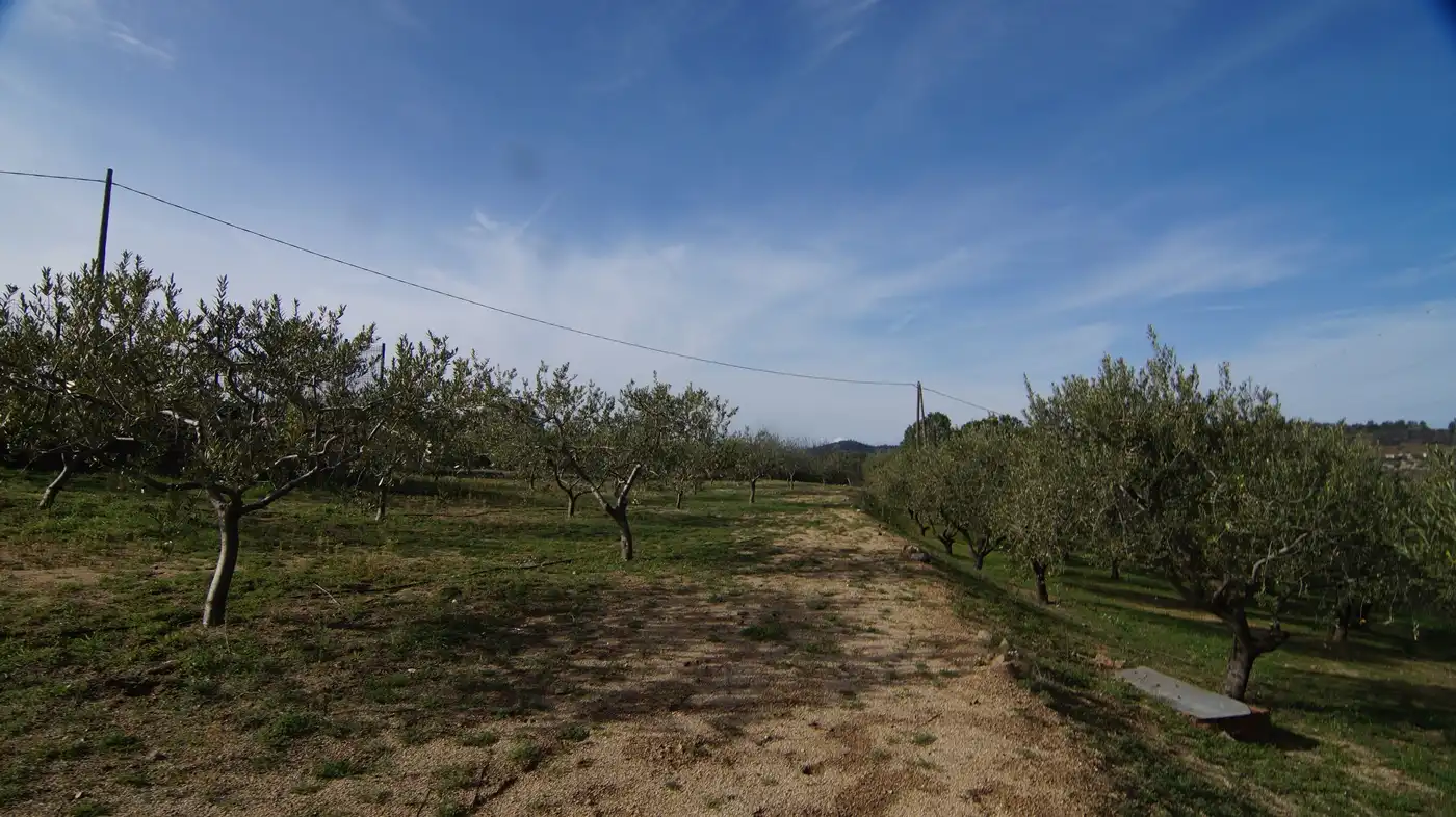 Country homes for sale in Falset  with Private garden