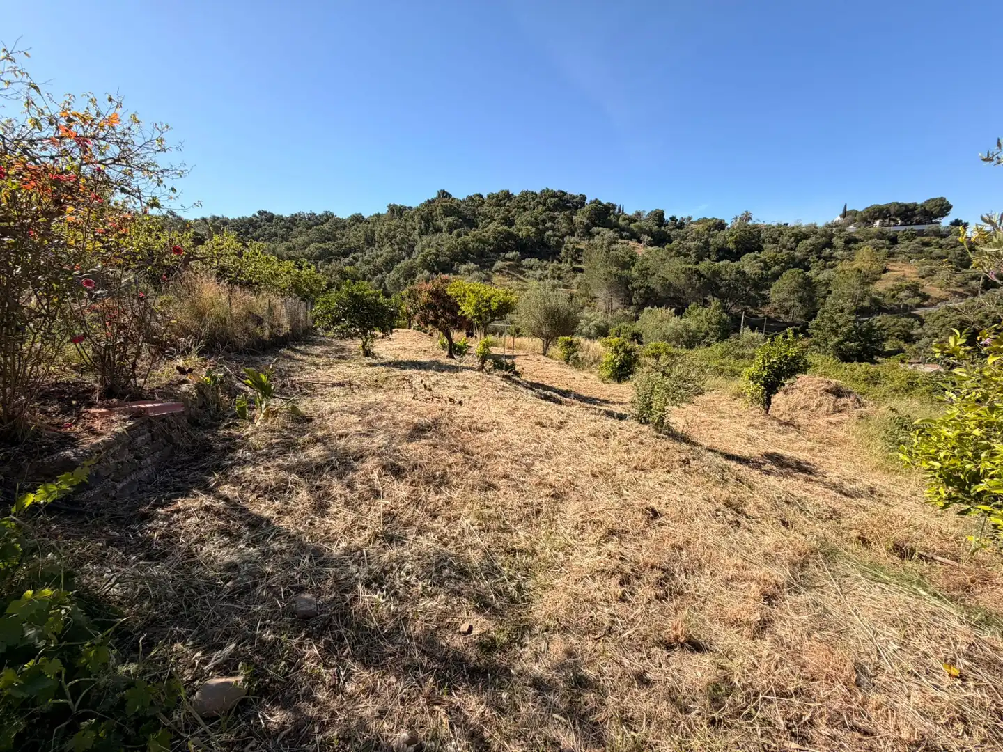 Terrains et parcelles à vendre à Ojén pueblo, imagen 7